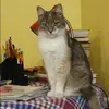 Отзыв от Варвара Рыжова